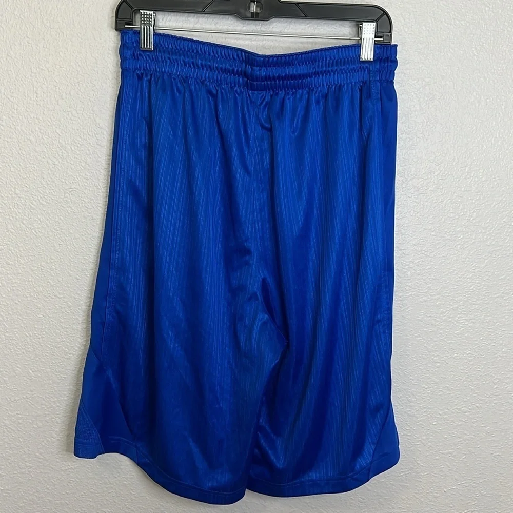 Nike Tonal Pinstripe Basketball Shorts Blue Size Large